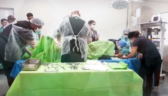 Clínica Veterinária e Centro Diagnóstico VETUSF  realiza primeira cirurgia em animal de grande porte